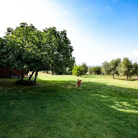 La Casa In Toscana Vakantiehuis